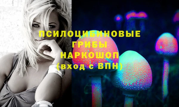 синтетический гашиш Алексин