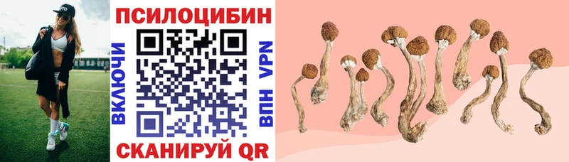 Псилоцибиновые грибы GOLDEN TEACHER мориарти какой сайт Жердевка